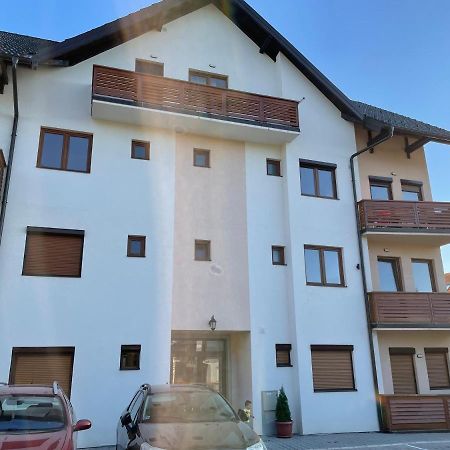 Apartman Bela Reka Zlatibor Apartment Bagian luar foto